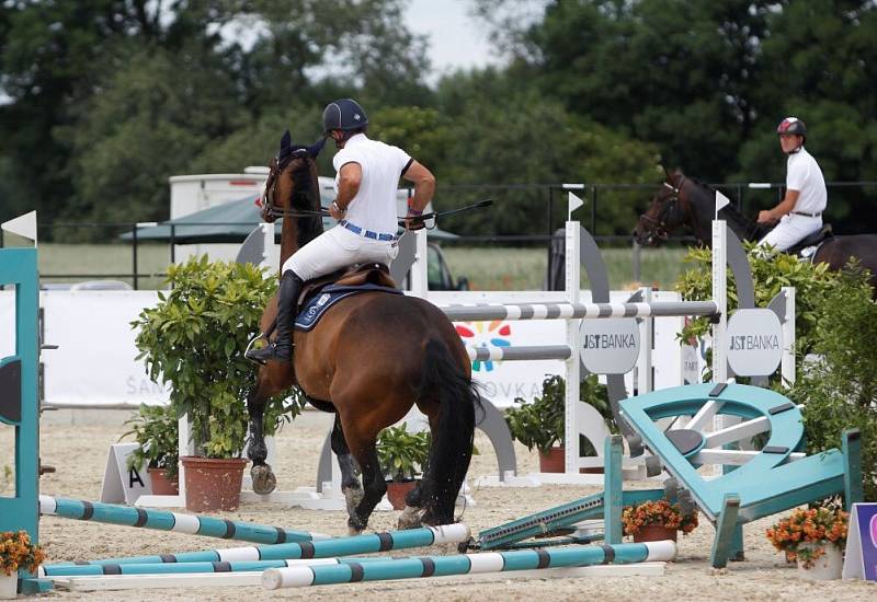 Paolo Paini zboural překážku. Světový pohár CSI*** Olomouc. Závody pro šestileté a sedmileté koně.