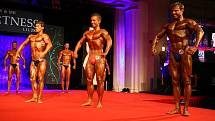 Jan Páleníček (uprostřed) na Mr. Fitness na Žofíně 2009