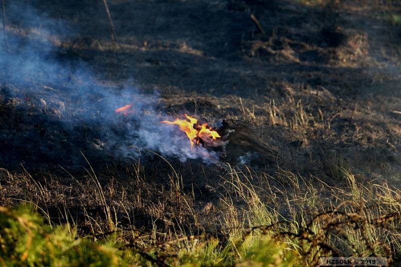 Likvidace požáru lesa v Náměšti na Hané