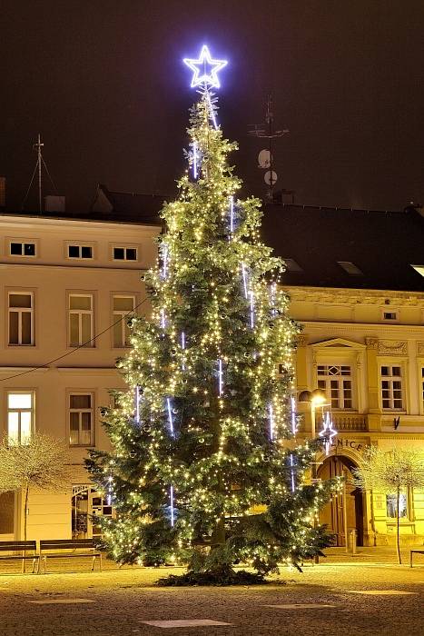 č.7 Šternberk, Hlavní náměstí, jedle, 10 metrů