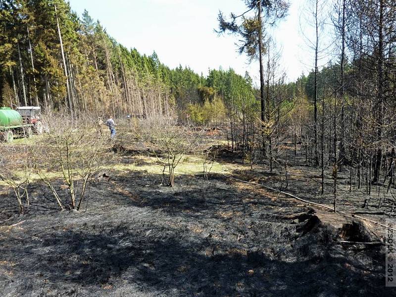 Požár lesa u Vilémova - neděle 29. 4. 2012