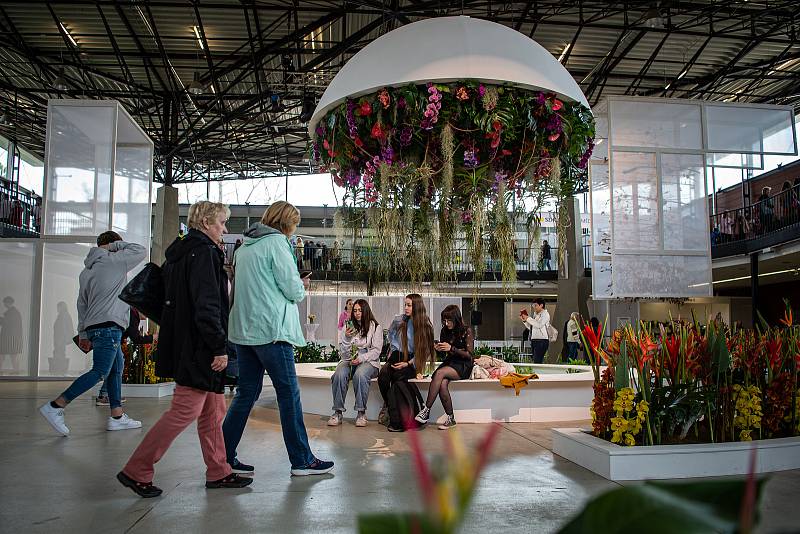Jarní etapa květinové a zahradnické výstavy Flora Olomouc, 21. dubna 2022. Hlavní expozice v pavilonu A nese název Květy a světy. Výstava končí 24. dubna.