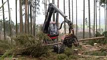 Harvestor pomáhá v olomoucké zoo s úklidem po vichřici. 20.3. 2019