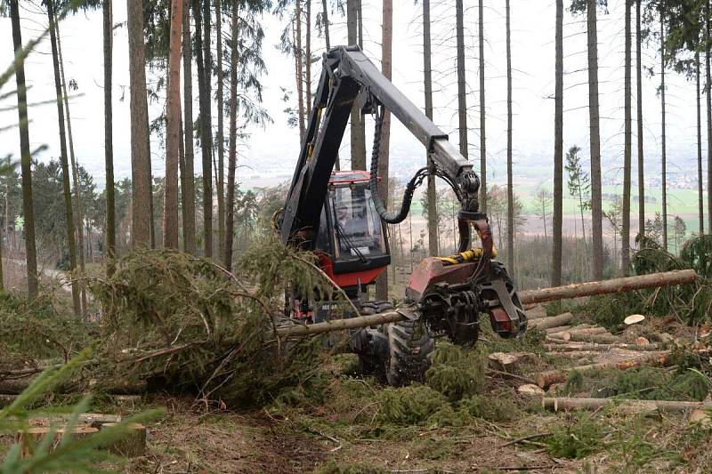 Harvestor pomáhá v olomoucké zoo s úklidem po vichřici. 20.3. 2019