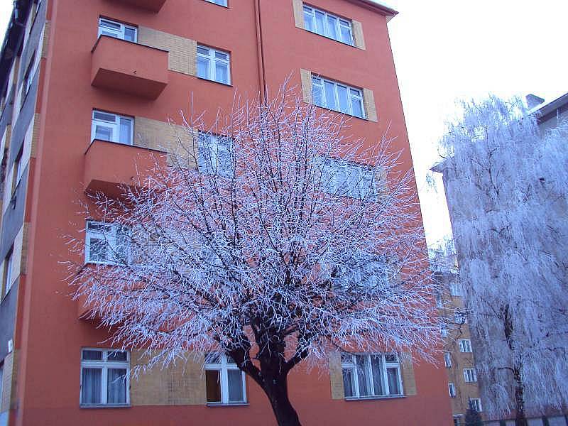 Olomouc, 21. února. Foto: Alena Matoušková