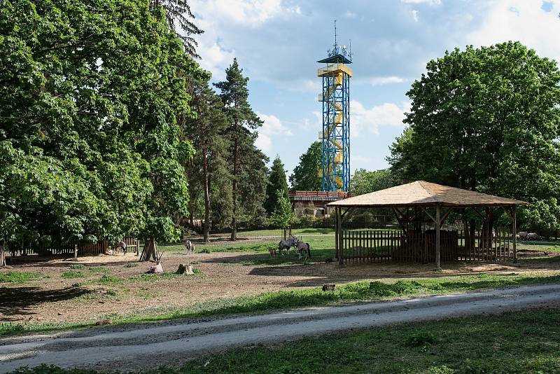 Hezké počasí a bezpočet čerstvě narozených mláďat jsou výzvou k procházce po zoo.