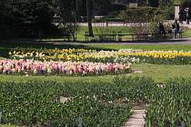 Botanická zahrada v Olomouci, 30. dubna 2021