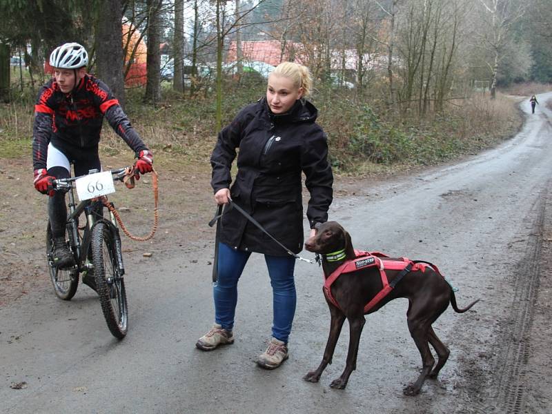 Psí závody v přírodě kolem chaty Pod Věží v olomoucké městské části Radíkov