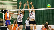 Champions League VK UP Olomouc – CSM ALBA Blaj