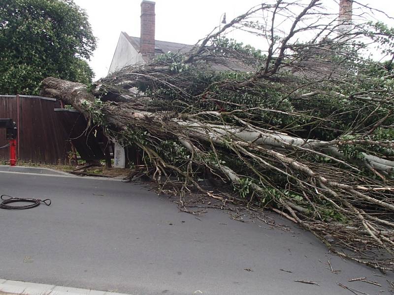 Řádění čtvrtečního silného větru na Olomoucku