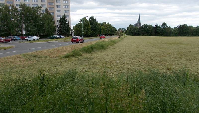 Nový olomoucký park má vyrůst mezi Dlouhou ulicí a Mlýnským potokem