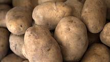 Nevýhodou velmi raných brambor je mnohem kratší životnost než u těch klasických 