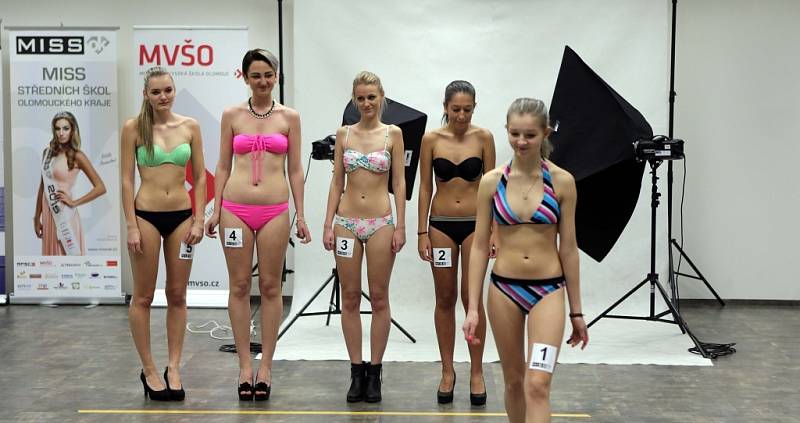 Casting soutěže Miss OK 2016 (Miss středních škol Olomouckého kraje)