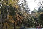 Hasiči likvidují větrem popadané stromy v Olomouckém kaji, 21. října 2021