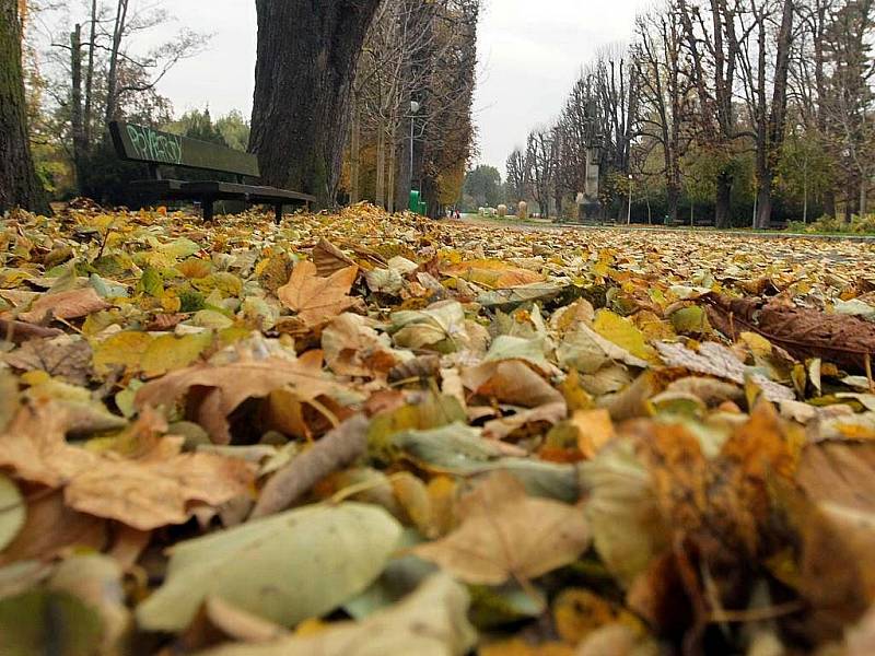 Začátek listopadu v olomouckých parcích