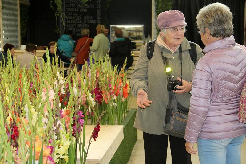 Podzimní Flora Olomouc 2019