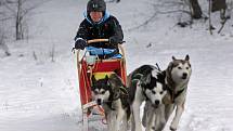 Musher psího spřežení Jaroslav Charouz z Komárova