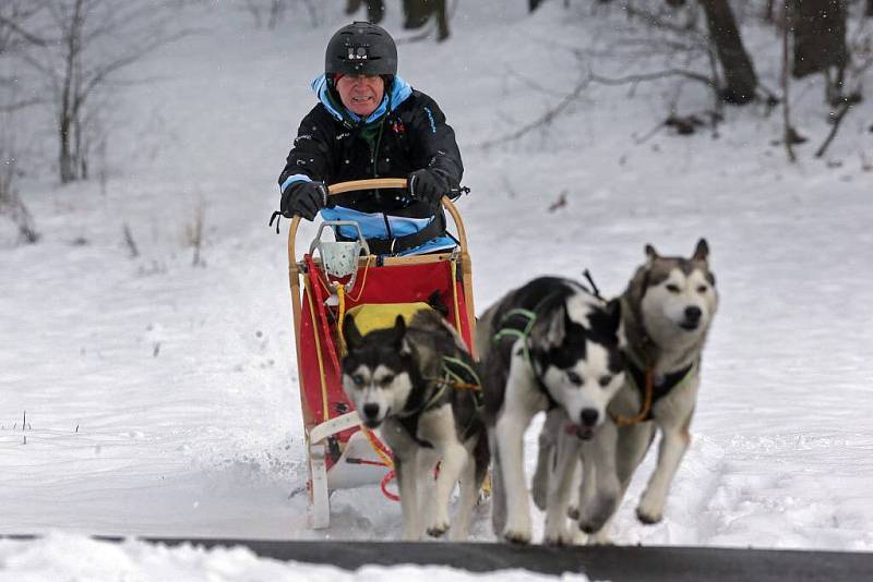 Musher psího spřežení Jaroslav Charouz z Komárova