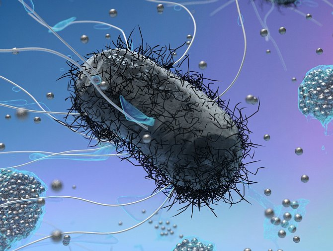 Znázornění mechanismu rezistence bakterií vůči nanočásticím stříbra, který se dostal na titulní stranu prestižního časopisu Nature Nanotechnology