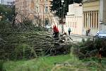 Kácení v okolí evangelického kostela v Olomouci kvůli stavbě protipovodňových opatření