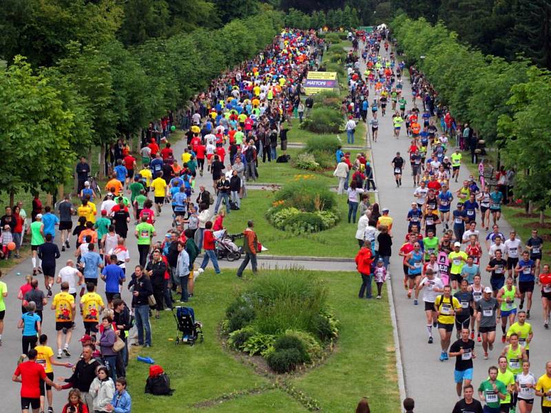 Olomoucký půlmaraton probíhá Smetanovými sady. Ilustrační foto
