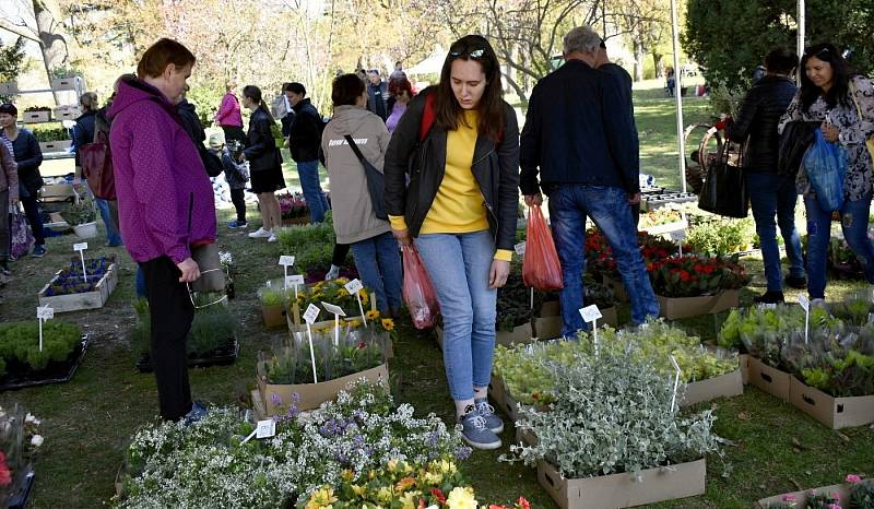 Jarní Flora Olomouc v sobotu 23. dubna 2022