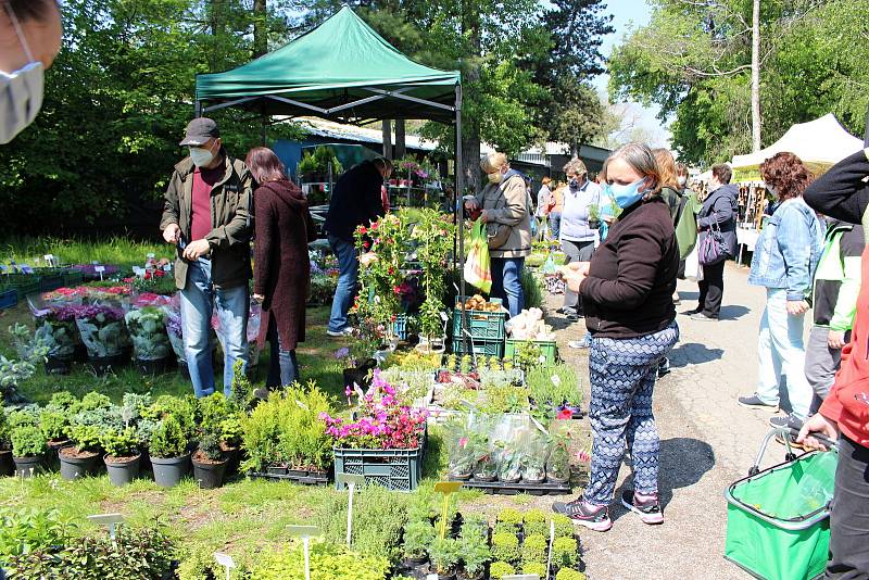 Zahradnické trhy na Floře v Olomouci v sobotu 16. května.