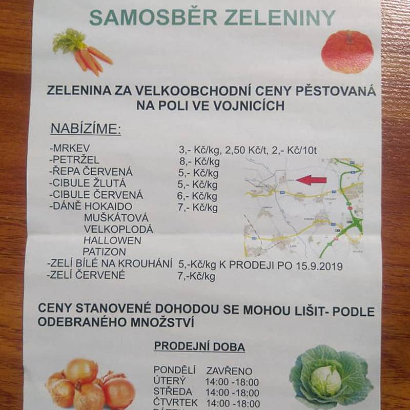 Samosběr zeleniny ve Vojnicích na Olomoucku
