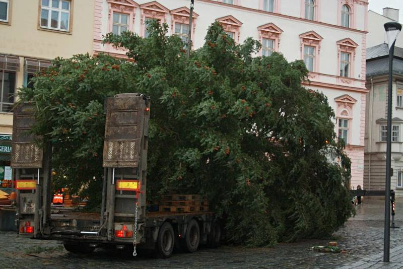 Stavění vánočního stromu na Horním náměstí v Olomouci