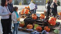 Podzimní etapa tradiční celonárodní výstavy ovoce a zeleniny zaplnila olomoucké Výstaviště Flora.