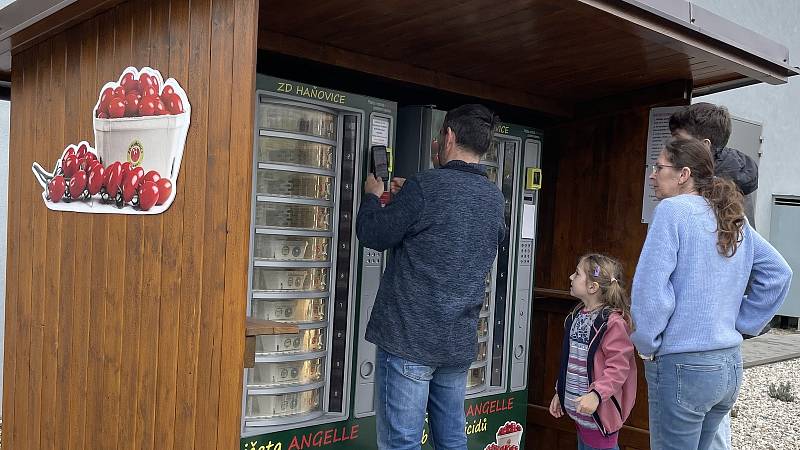 Družstvo v Haňovicích pořídilo další automat s rajčaty. Je o ně obrovský zájem, 9. dubna 2022