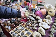 Prodejní výstava nabízí, jak minerály, zkameněliny, tak i šperky