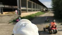 Turistickým lákadlem je farma Doubravský dvůr v Července s vyhlášenou zmrzlinou. 23. července 2020