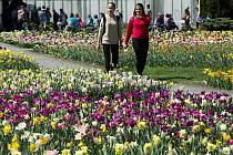 Jarní etapa výstavy Flora Olomouc 2019 - čtvrtek 25. dubna