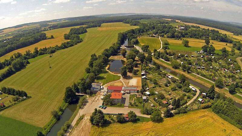 Městské koupaliště v Litovli jako přírodní koupací biotop