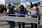 Odběry na plošné koronavirové testy v Litovli. Pátek 24.4.2020