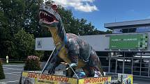 Áčko Výstaviště Flora ovládnou "živí" dinosauři. Do Olomouce míří výstava Dino Expo, srpen 2022