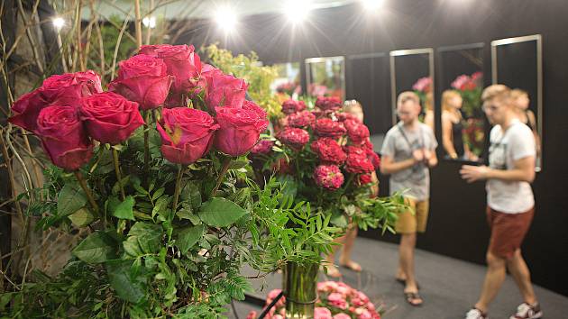 Letní etapa výstavy květin Flora Olomouc 2018.