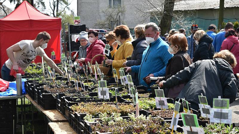 První Zahradnické trhy roku 2021 na výstavišti Flora Olomouc. Sobota 24. dubna 2021