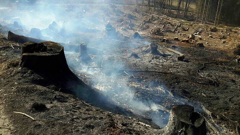 Hasiči během pondělí 6. dubna likvidovali požáry na devíti místech Olomouckého kraje. Požár u Bukovic.