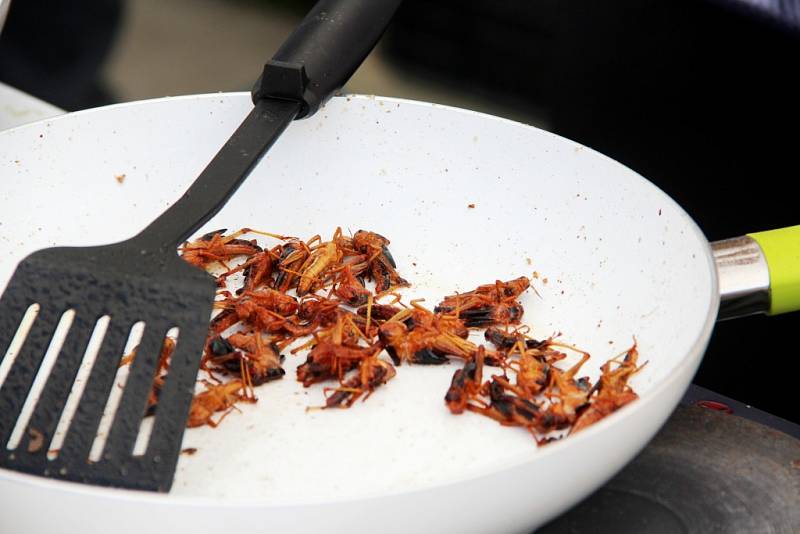 Stovky lidí zaplnily v sobotu Smetanovy sady Výstaviště Flora Olomouc. Přilákal je tam už druhý ročník dobrého jídla a pití Garden Food Festival.