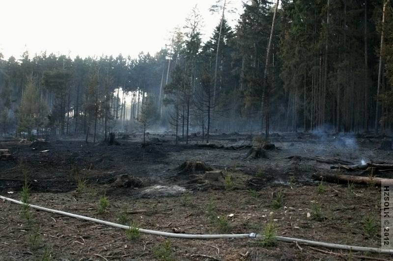 Požár lesa u Vilémova