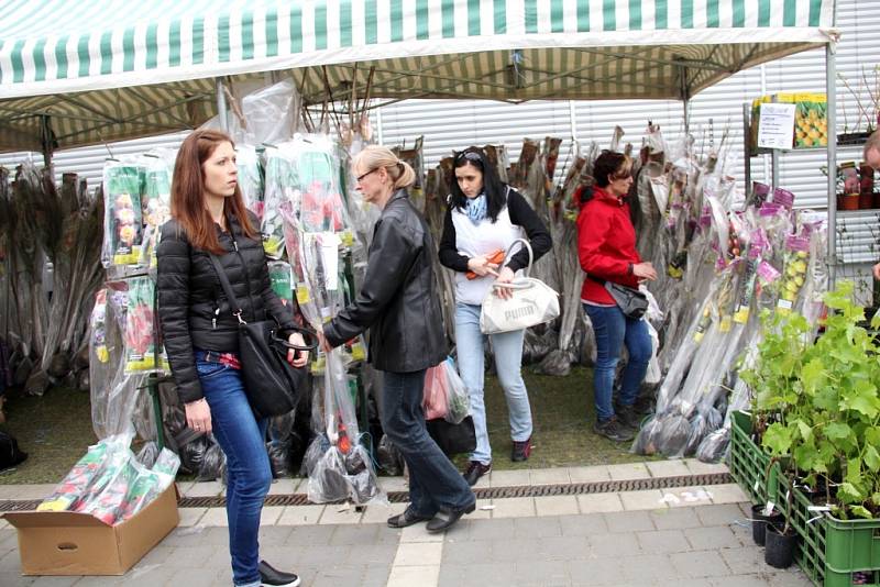 Jarní Flora Olomouc 2016