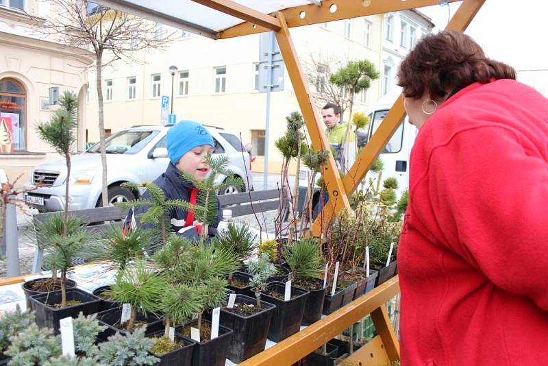 Originální moučníky z tvarůžkové cukrárny, pečivo, ale třeba i ovocné stromky a růže nabídl v sobotu 13. dubna další z Venkovských trhů ve Šternberku na Olomoucku.