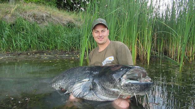 Jakub Tiefenbach v sobotu chytil na Chomoutovském jezeře sumce měřícího neuvěřitelných 224 cm.