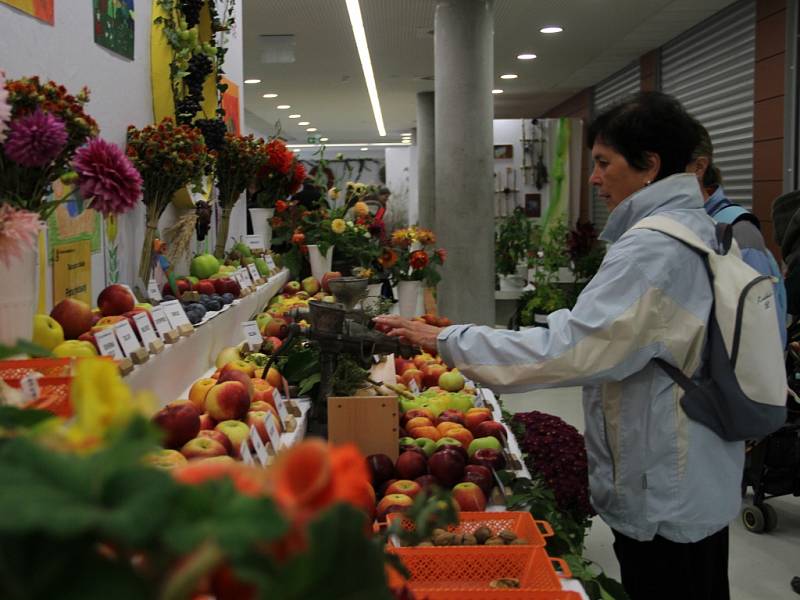 Podzimní etapa Flory, zahradnické trhy a festival gastronomie a nápojů Olima