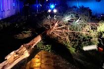 Spadený strom na Jesenicku. Následky silného větru 27. prosince 2017 v Olomouckém kraji