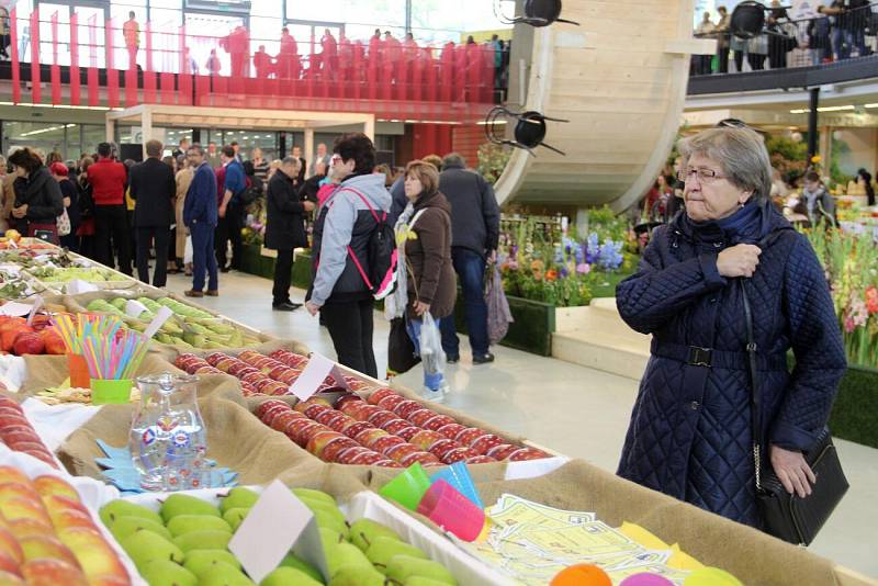 Podzimní Flora Olomouc 2019