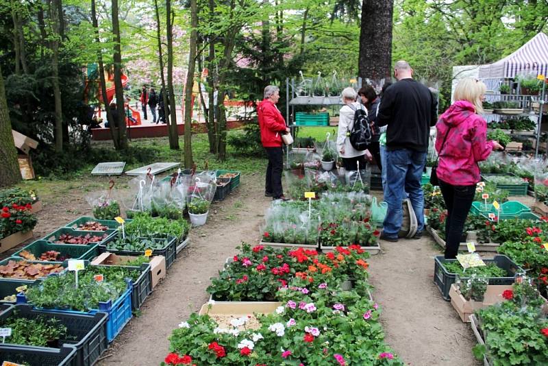 Jarní Flora Olomouc 2016