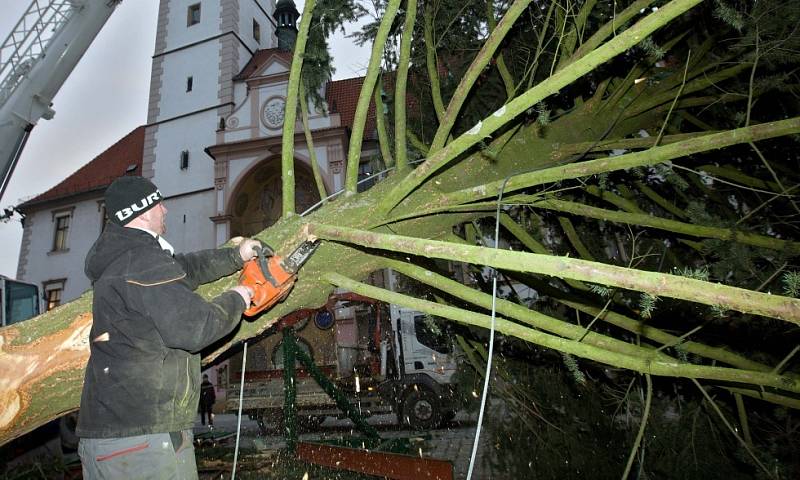 Kácení vánočního stromu na Horním náměstí v Olomouci 